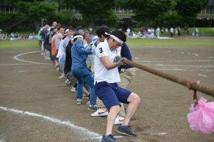 保護者競技　綱引き